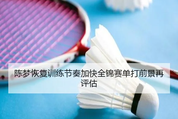 陈梦恢复训练节奏加快全锦赛单打前景再评估